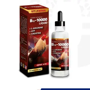B12 10000 for Roosters Energy and Vitality Support Premium Poultry Supplement 60ml