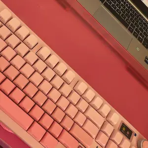 Ergonomic Computer Keyboard Stand for Desktop (Clear Pink), Keyboard Tilted Elevated Rack Key Board Holder Riser Stand for Office Home Desk Work, Desktop Accessory