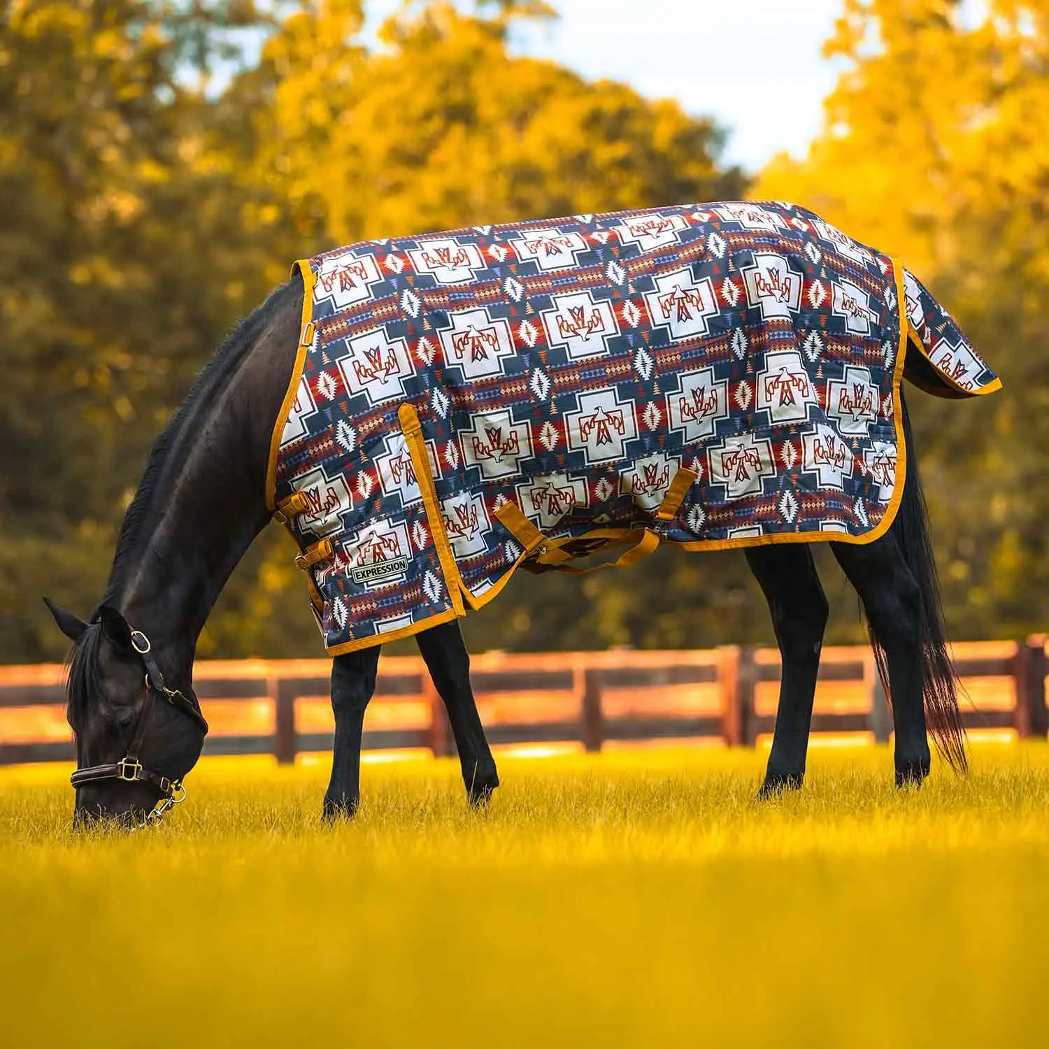 Jeffers Expression 1200 Denier Standard Neck Horse Turnout Sheet, 0 Gram Equine Blanket Jeffers Expression 1200 Denier Standard Neck Horse Turnout Sheet, 0 Gram Equine Blanket