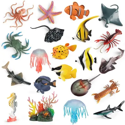 Sea Animals Cardboard Starfish TikTok Shop