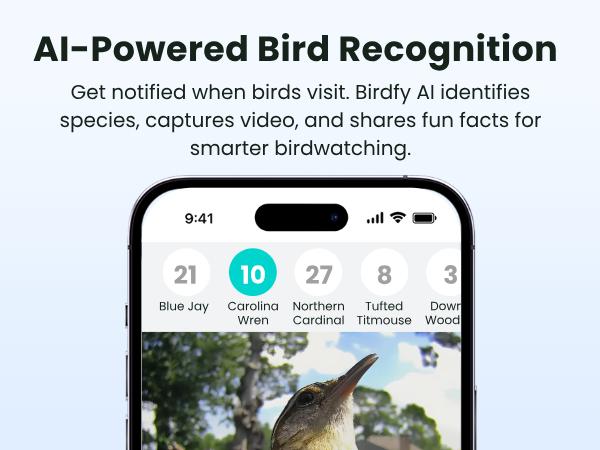 Birdfy Smart Bird Feeder with Camera for Rookie, Camera Bird Feeder Dual Night Vision, AI Recognition IP66 Waterproof for BirdLovers