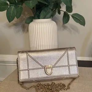 Pre-owned Dior leather Crossbody Bags Christian Preowned Wallet on Chain in Shiny Silver with Gold Hardware and Chain Strap