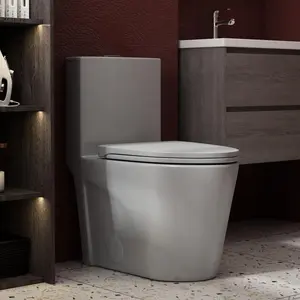 Elongated One Piece Toilet for Bathrooms, Comfortable Chair Seat Height 17", Dual Power Flush Toilet 1.1/1.6 GPF and MAP 1000g, 12'' Rough-In Toilet Bowl, Grey