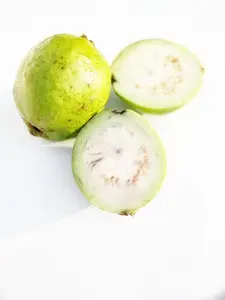 White Guava Live Plant