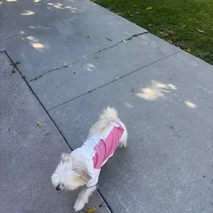 Lightweight Waterproof Dog Raincoat for Small to Medium Breeds, Sun Protection for Outdoor Rainy Days, Essential Pet Supplies