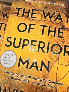 The Way of the Superior Man: A Spiritual Guide to Mastering the Challenges By David Deida