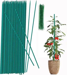 Plant Stake 17 Inch Wood Plant Sticks 30 Packs Orchid Stakes Sturdy Green Bamboo Plant Support Stake Gardening Floral Potted Plant Support