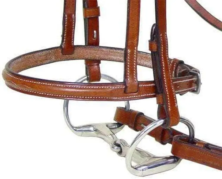 Paris Tack Everyday Raised Fancy Stitched Leather English Schooling Bridle with Laced Reins, Stainless Steel Hardware - Oversize, Havana