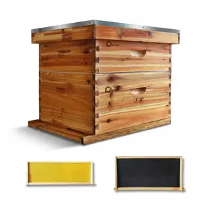 BeeCastle 20-Frame Langstroth Beehive Kit Bee Hive Boxes Starter Kit , Beeswax Coated Weatherproof Cedar Wood Beehive with 1 Deep & 1 Medium Box, Dovetail Joints, Easy Assembly, Traditional Fir Beehive No Window