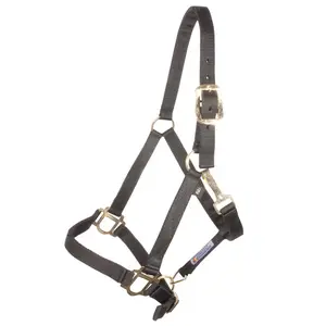 Dura-Tech 1 Economy Nylon Halter