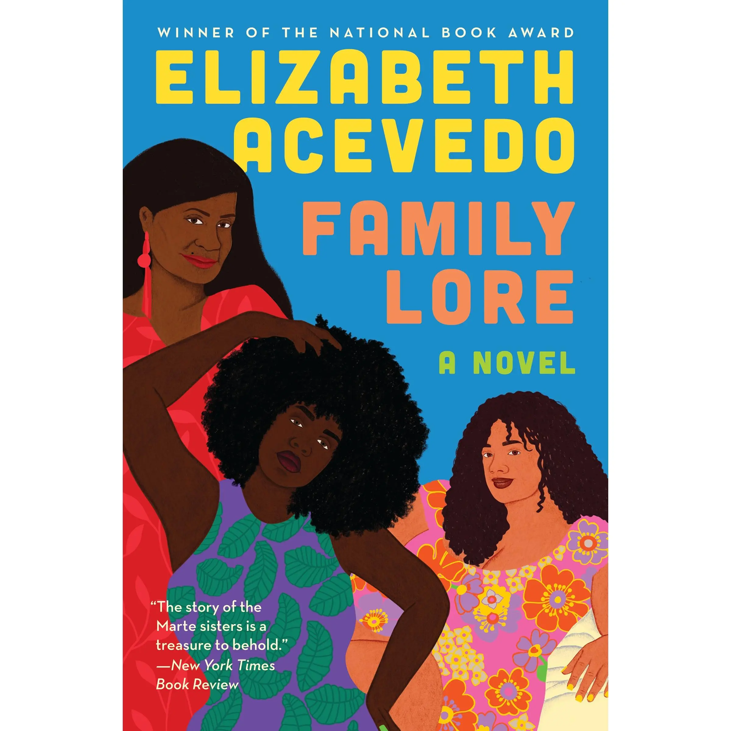 Family Lore: A Novel by Elizabeth Acevedo [Paperback Book]