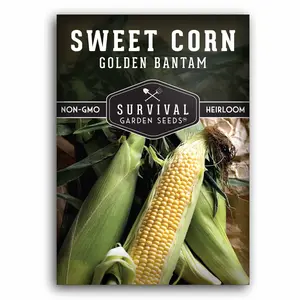 Golden Bantam Sweet Corn Seed