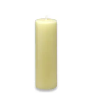 212 MAIN Pale Ivory Handpoured Unscented Round Pillar Candle, 2x6 in, 24-Piece Bulk Pack, 28-Hour Burn Time (CPZ-168-24) for Camping, Hiking Decorations