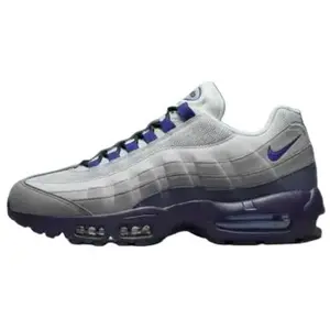 Nike Air Max 95 'Photon Dust Sapphire Raisin'