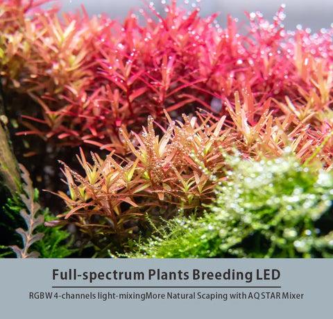 LEDSTAR AQS Pro AURORA LED Light