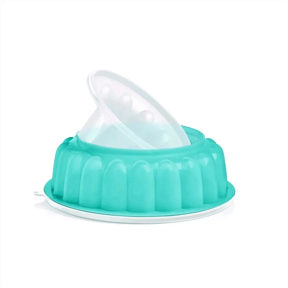 Jel-Ring Mold