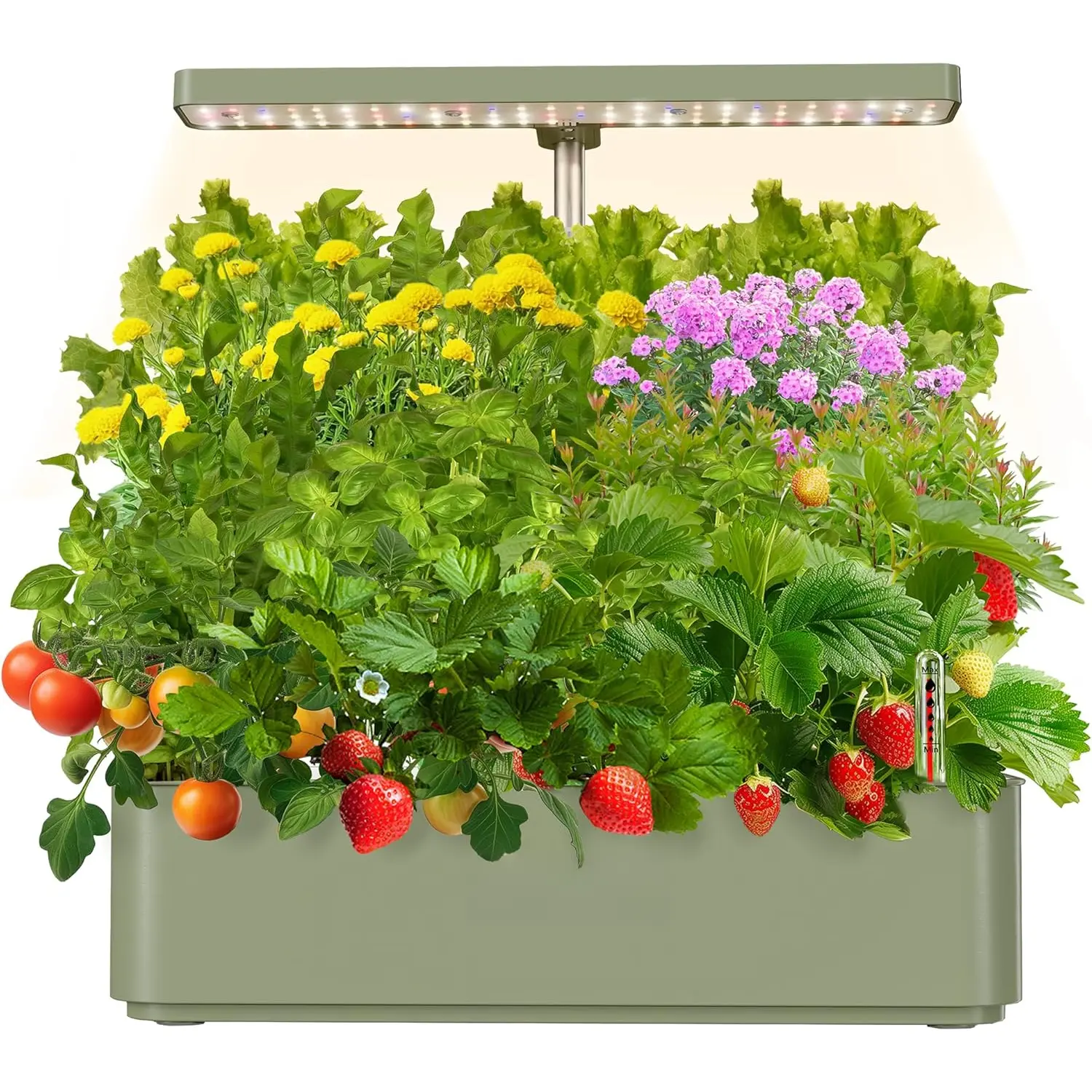 Hydroponics Growing System Kit 12 Pods, 24W LED Grow Light Indoor Garden, 4L Water Tank with Quiet Pump, Adjustable Height  Garden Planter Indoor Kit, Gardening Gifts, Green