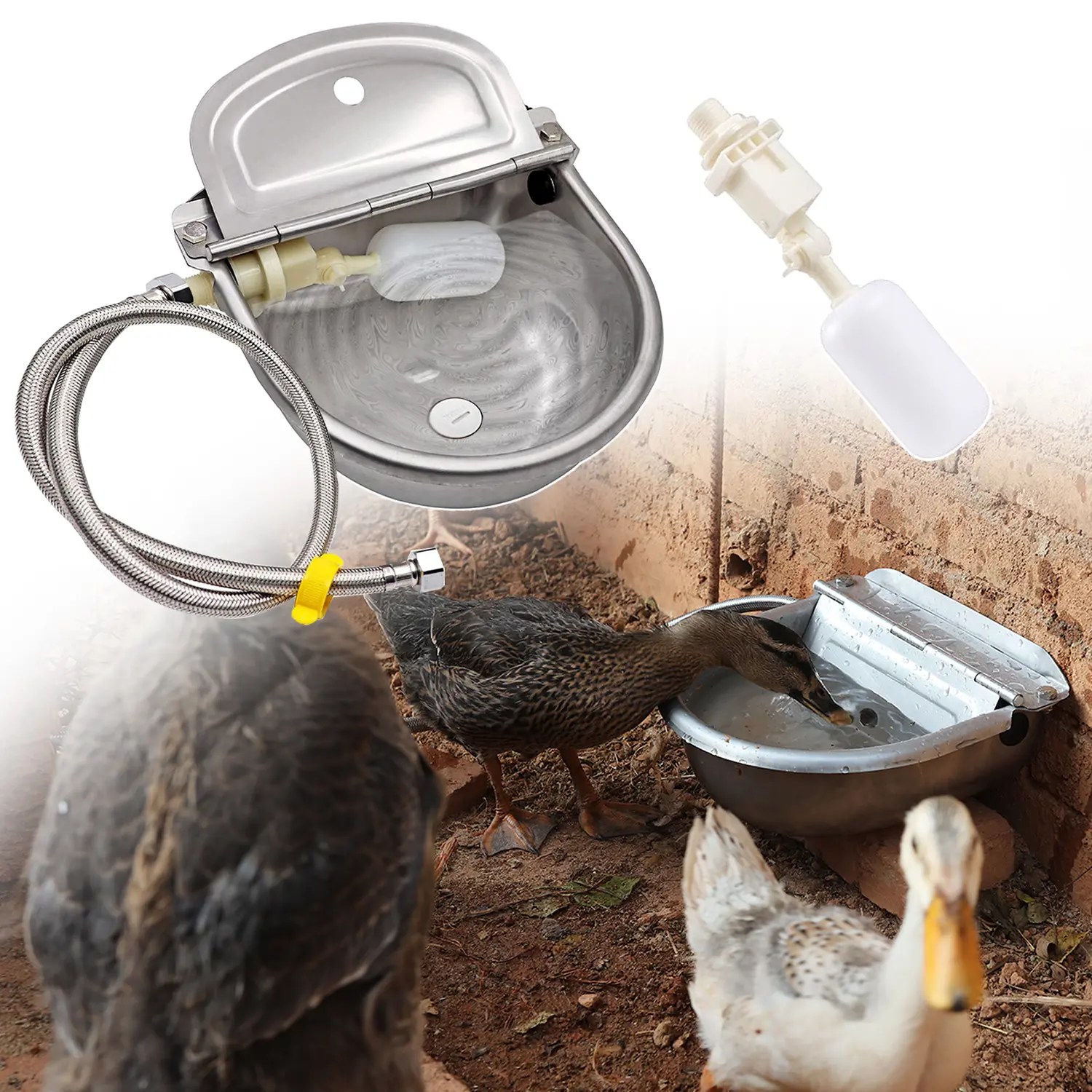 Automatic Animal Water Bowl Dog Water Dispenser Duck Waterer Poultry Watering System Automatic Animal Water Bowl Dog Water Dispenser Duck Waterer Poultry Watering System