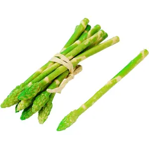 12Pcs Realistic Lifelike Fake Asparagus Artificial Vegetables Fake Food for Kitchen Countertops Dining Room Garden Decor Restaurant Displays Food Photography Props