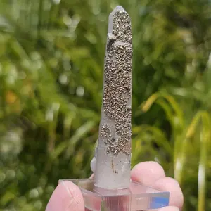Sulfur Pyrite on Candle Quartz
