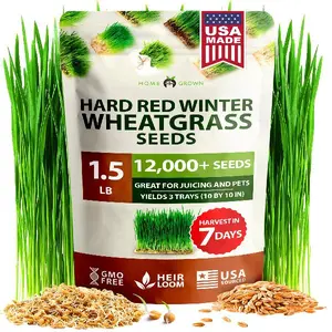 HOME GROWN Wheatgrass Seeds Bulk Pack (1.5lb) Hard Red Winter Sprouts Seeds - Reliable Heirloom Sprouting Seeds for Juicing, Growing Microgreens, Smoothies, and Indoor Gardening (Triticum aestivum)
