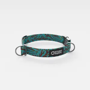 Jill Kittock Branch Manager Everyday Collar