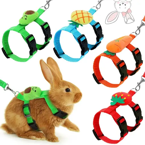 DIY Hand Tools Kits with 4 Adjustable Size Collars & Harnesses & Leads 4 Color Sets - Soft on Skin, Outdoor Use for Guinea Pigs, Kitten, Bunny & Ferret Training