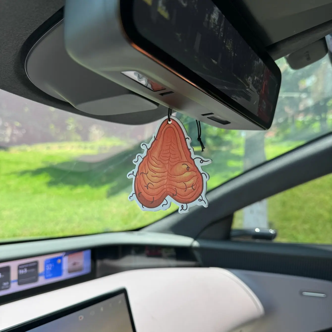 Funny Greg Car Air Freshener, Natural Purifying Scented Hanging Car Perfume, Long-Lasting Fragrance, Unisex Car Odor Remover Auto Odor Eliminator, Hanging Car Diffuser