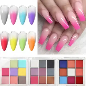 Nail Art Solid Powder, 9 Colors, Aurora Effect, Glossy Texture, No Odor, DIY Gradient Effect, Creative Nail Design