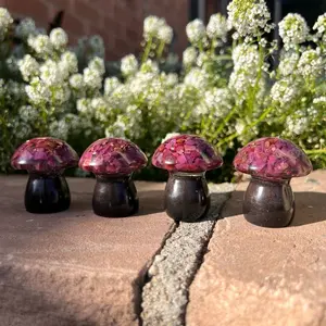 Ruby Mushroom orgonite for emf protection