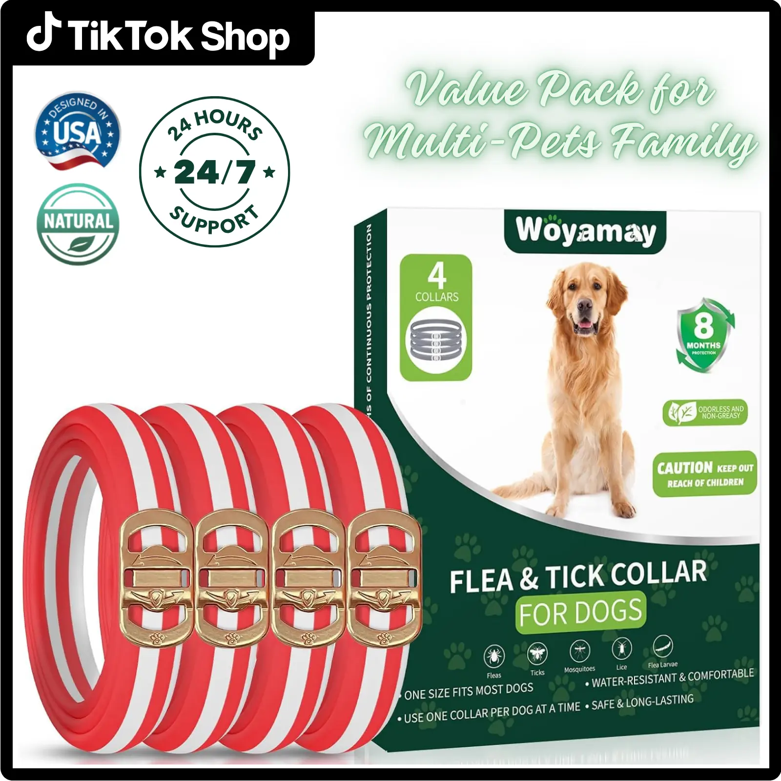 Red Dog Collar Golden Buckle