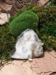 Beautiful Dendritic Agate Polished Slab Large Stone Merlinite Dendrite Opal Healing Crystal Natural Mineral Specimen Inclusion Quartz Slice