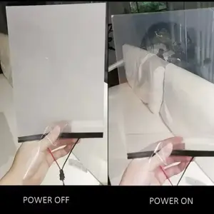 Hide away license plate