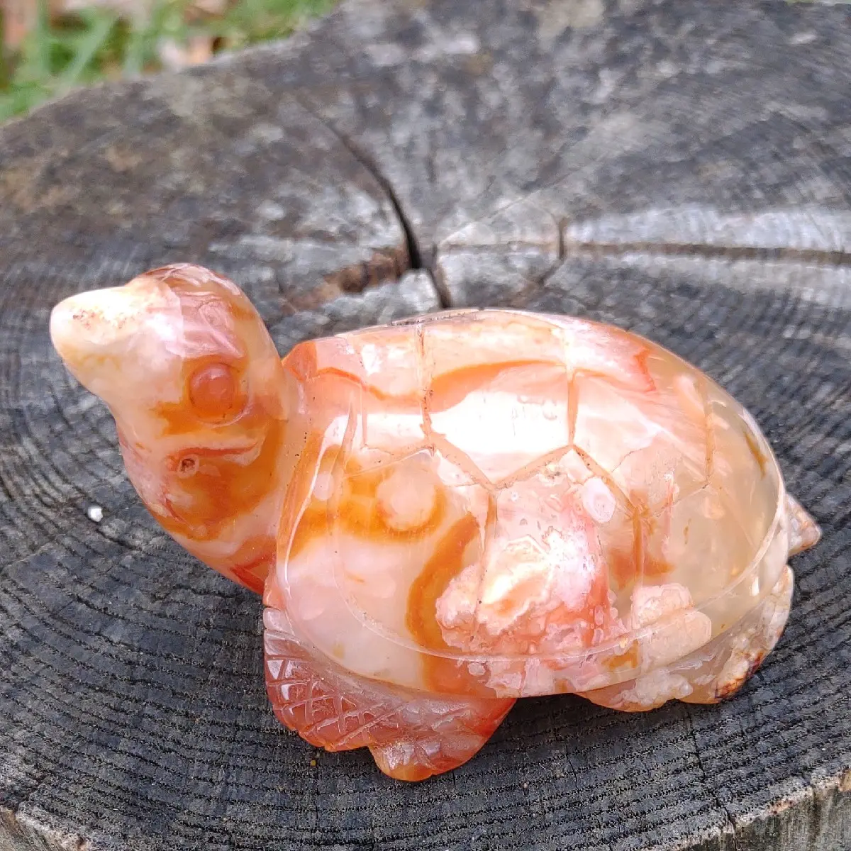 Carnelian Crystal Turtle Carving
