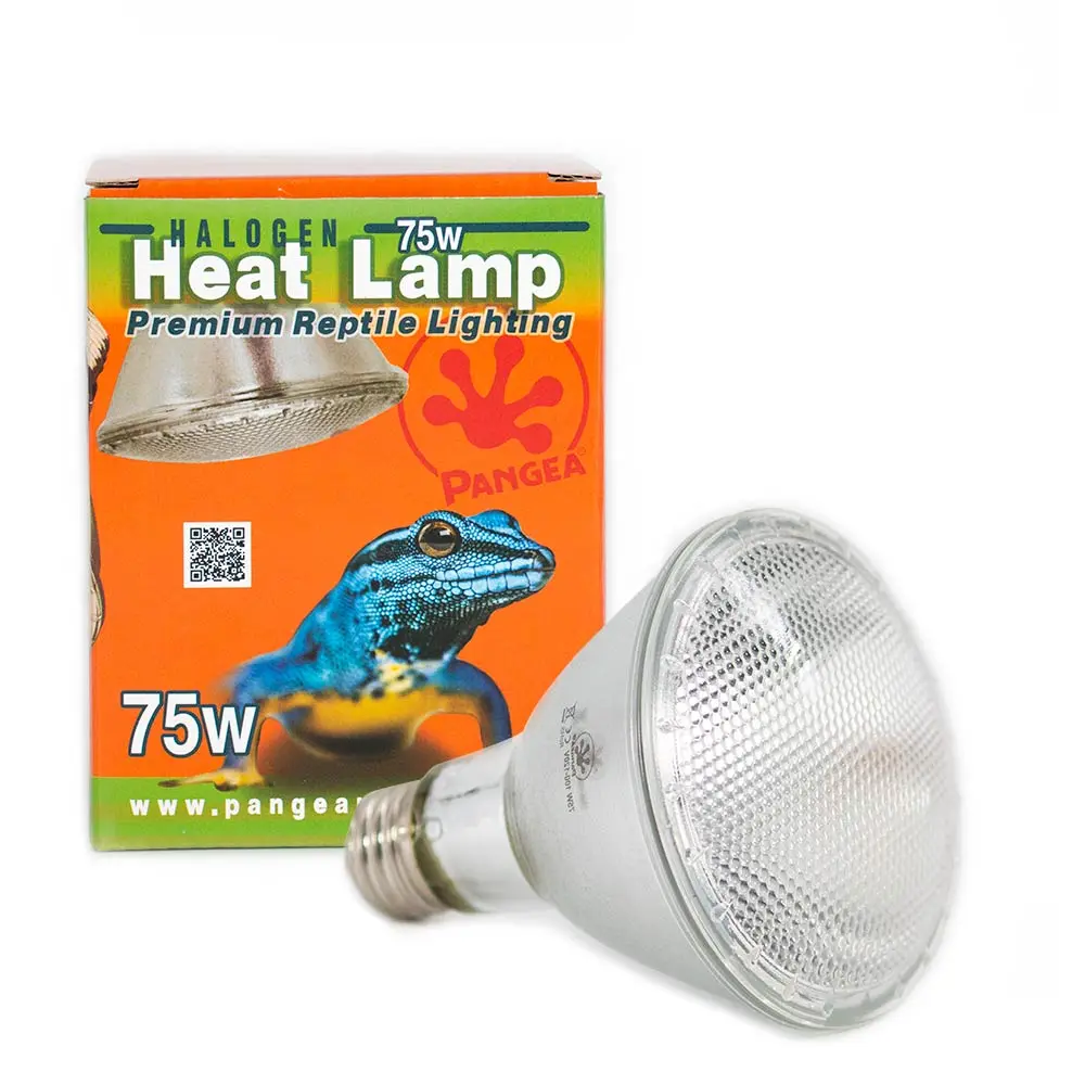 Pangea Halogen Heat Lamp Pangea Halogen Heat Lamp
