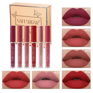 Matte Matte Surface 6 Lip Gloss Luxurious Long Lasting Beauty Set, Lips Are Not Easy To Stick To The Cup Lipstick