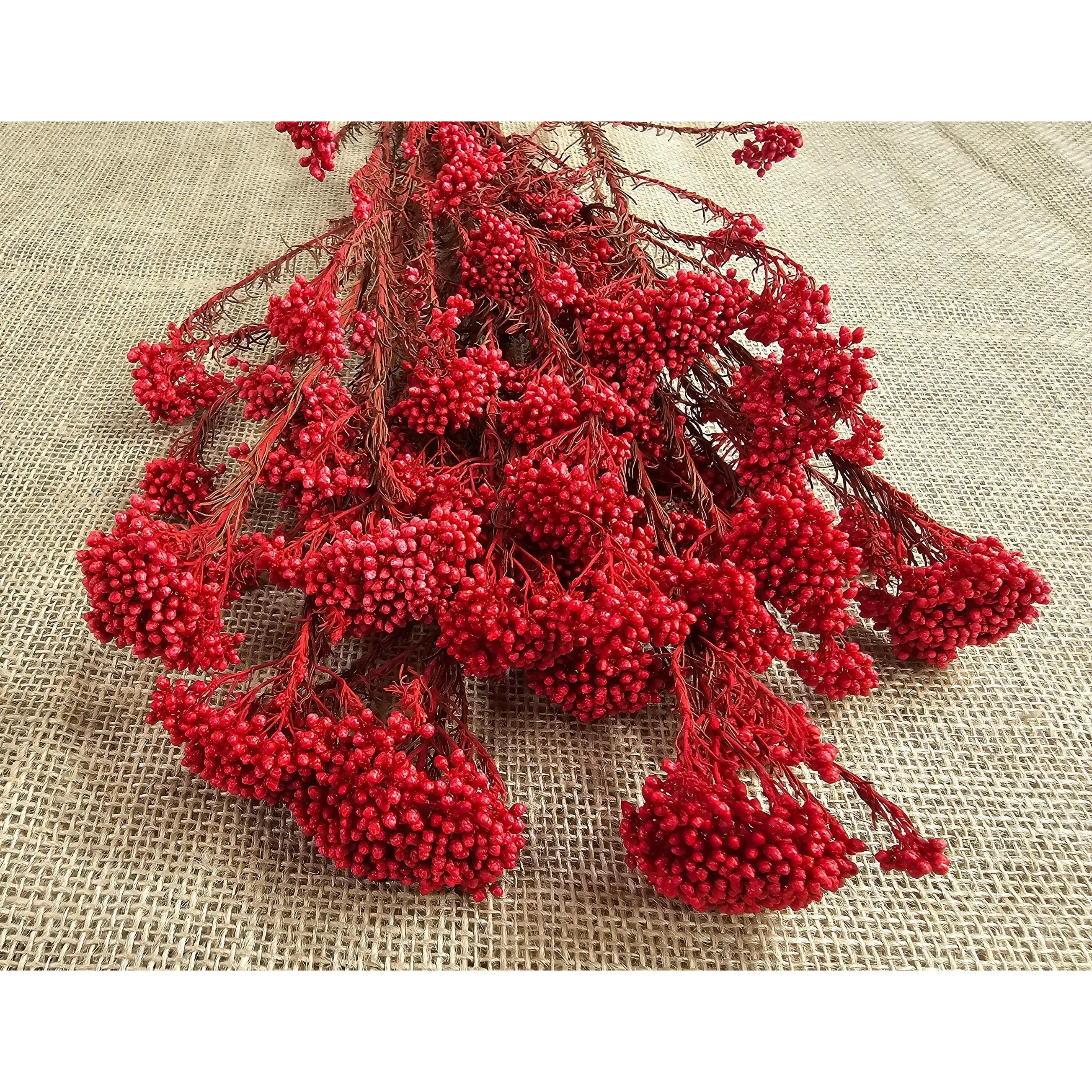 Red Preserved rice flower, flowers for bouquets, wedding flowers, filler, dried flowers  arrangements, Wedding decor, 19"-20"tall,