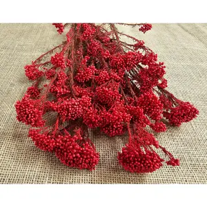 Red Preserved rice flower, flowers for bouquets, wedding flowers, filler, dried flowers  arrangements, Wedding decor, 19"-20"tall,