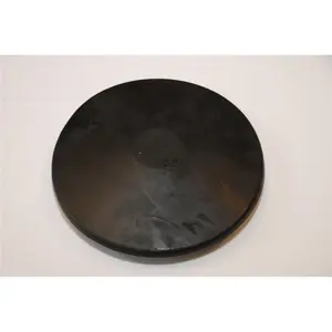 Everrich  3.5 Pound Hard Rubber Discus