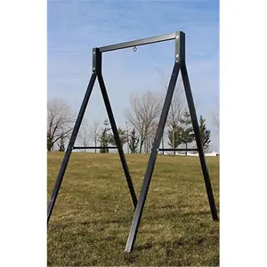 Sparkling Line  Indoor One Holder Swing Frame - Black