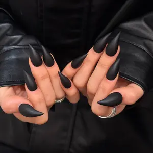 Handmade Matte Cat Claw Nails, Short Length, Dark Style, European and American Fashion, Single Item, Matte Finish