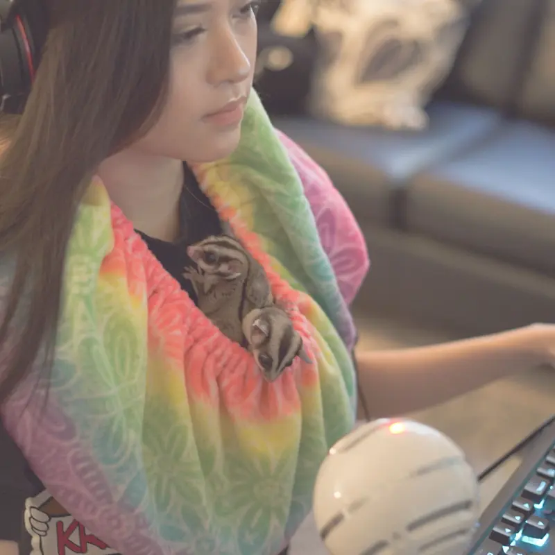 Duke's Digs XL Critter Cuddler Animal Carrier and Bonding Sling for Small & Medium Pets, Handmade in USA, Machine Washable, Dryer Safe Harnesses