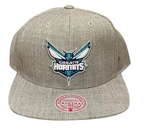 Men's Mitchell & Ness NBA Charlotte Hornets Team Heather Snapback Hat