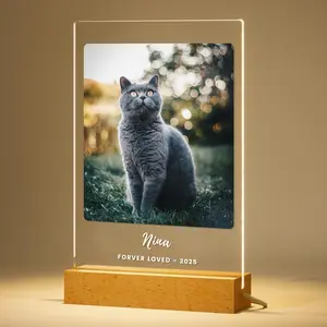 Custom Pet Memorial Gift, Personalized Light Up Acrylic Photo Frame, Pet Loss Sympathy Gift for Pet Lovers, Custom Led Night Light with Pet Photo, Dog Photo Gift