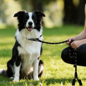 【Furlyn】Pet leash, p-leash, for walking dogs, preventing escape, suitable for large, medium, and small dogs
