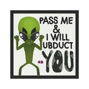 Alien Abduction Magnet
