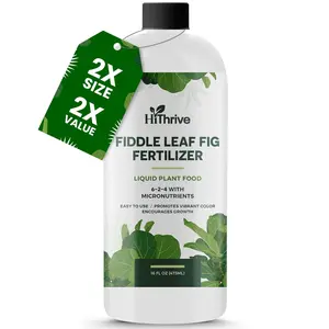 HiThrive 16oz Fiddle Leaf Fig Plant Food 2X Value 96 Gallons Liquid Fertilizer for Ficus Plants 6-2-4 NPK Essential Nutrients for Strong Healthy Growth