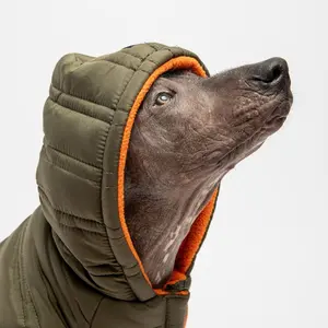 Dog Jacket Noah Cypress