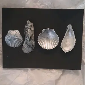Hand-painted, hand made, sea shell art wall decor. Beach house, coastal art