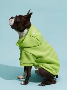 1pc Petsin Spring Pet Sweatshirt For Dogs - Lightweight Spring Sweatshirt For Dogs; Suitable For Cool Morning Walks, Garden Adventures, Training, Family Weekends, And Comfortable Lounging.